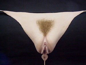 Vagina  Hairstyle 1 