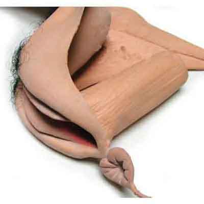 Sheath with Urinating Bladder Vee-String Female Vagina Prosthesis image