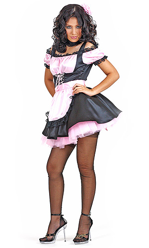 Cindarella Satin Maid Uniform  image