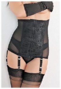 Sexy Black Power Mesh Waist Cincher  image