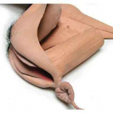 Sheath with Urinating Bladder Vee-String Female Vagina Prosthesis